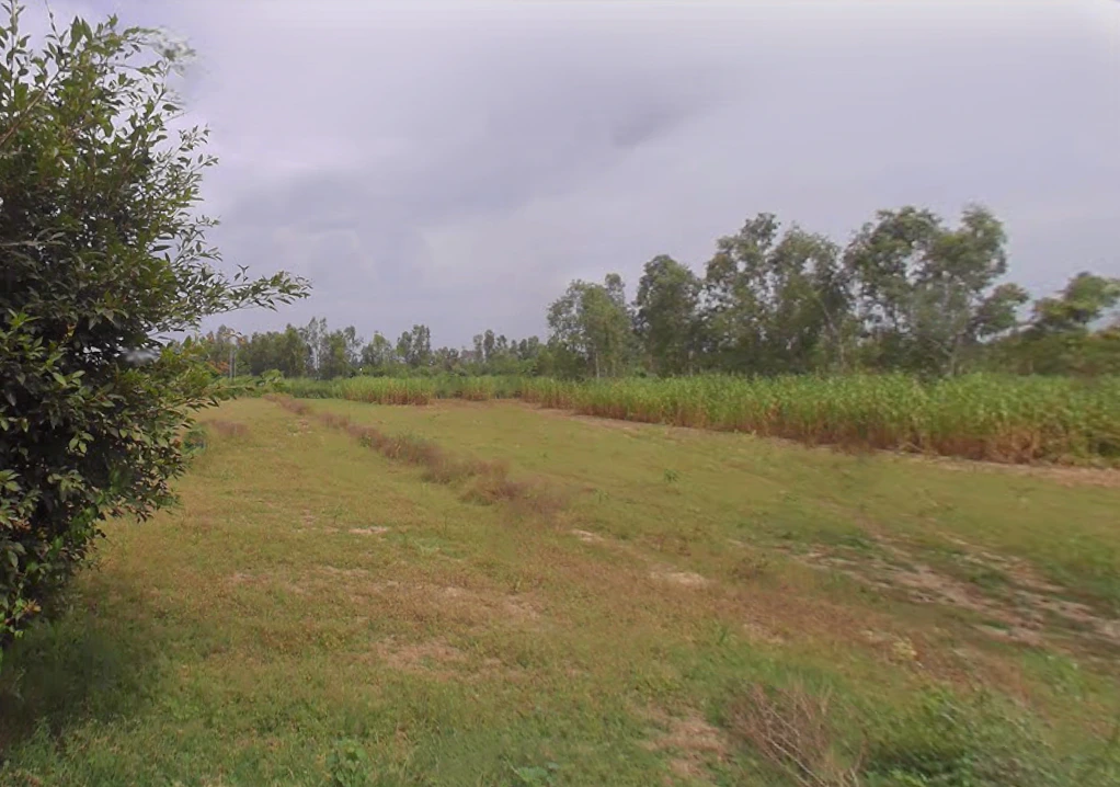 Bijora, Uttar Pradesh, India