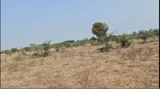 MQWV+2W Padamati Palle, Telangana, India