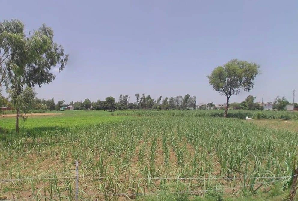 Gajraula, Uttar Pradesh, India