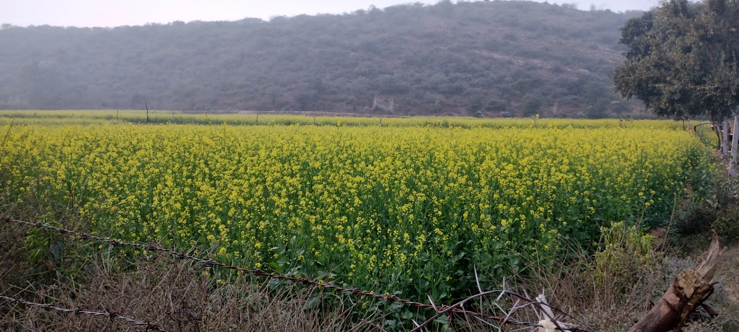 H7JQ+CRC, Ghaata, Rajasthan 321022, India