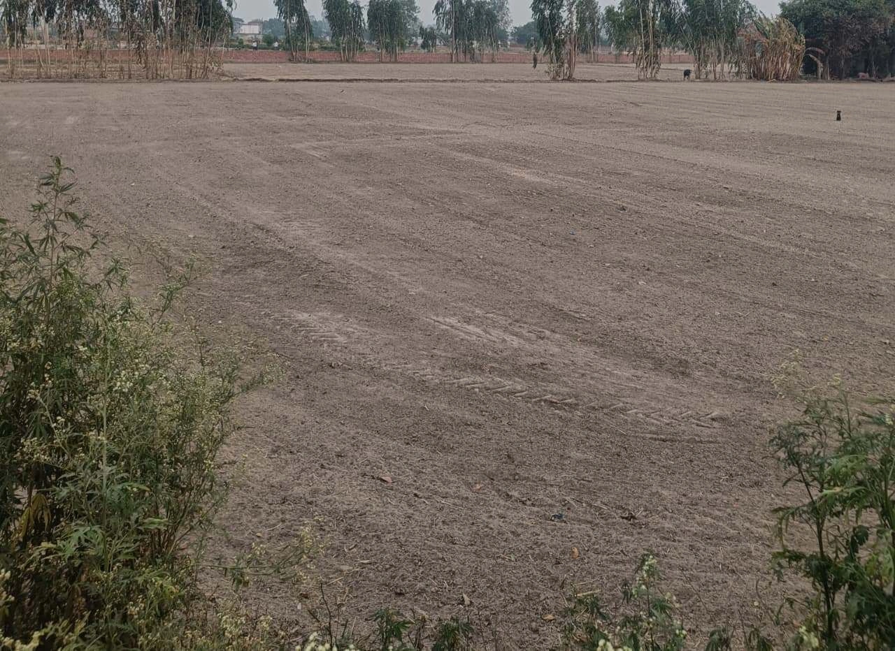 Barhana, Uttar Pradesh, India