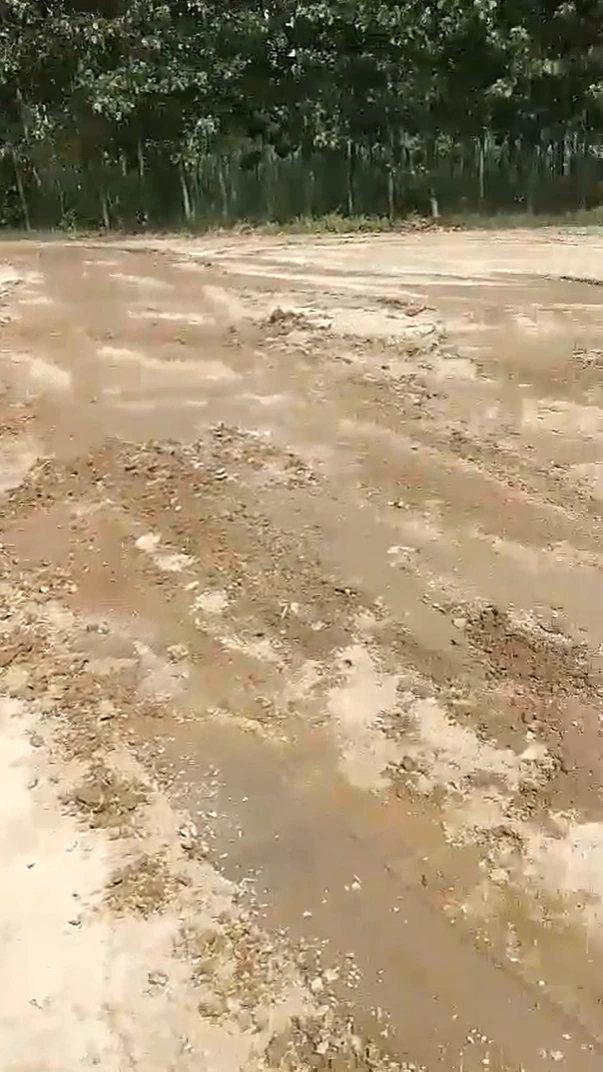 HVWX+R6 Tugalakpur, Muzaffarnagar, Uttar Pradesh, India - Photo 2