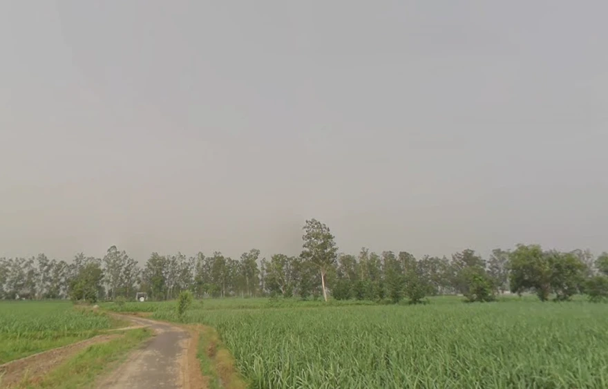 Mawana, Uttar Pradesh, India