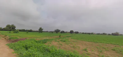 Rampur, Gujarat 382225, India preview 2