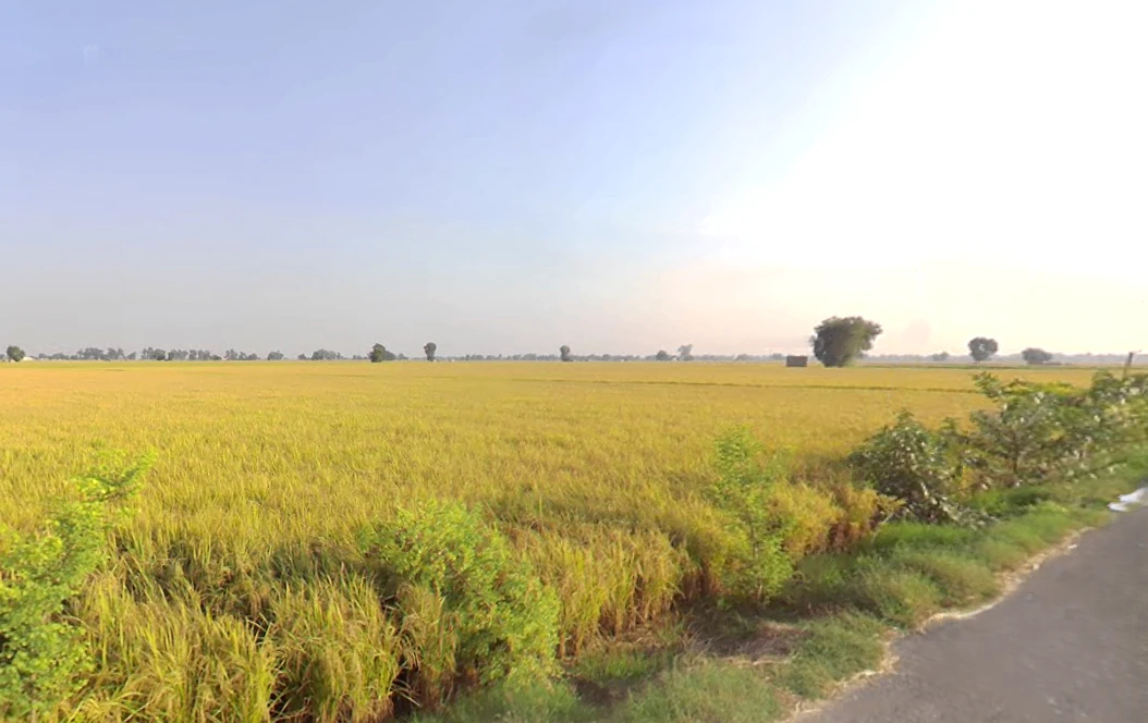 Kariwala, Haryana 125075, India