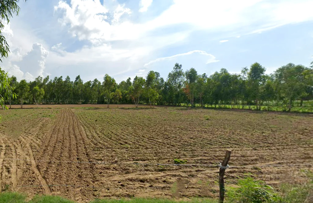 Faridpur, Uttar Pradesh 243503, India preview 2