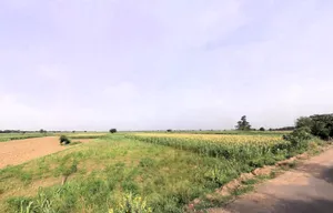 Khori, Haryana 123101, India preview 2