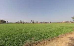 Ramgarh, Rajasthan 301026, India preview 3