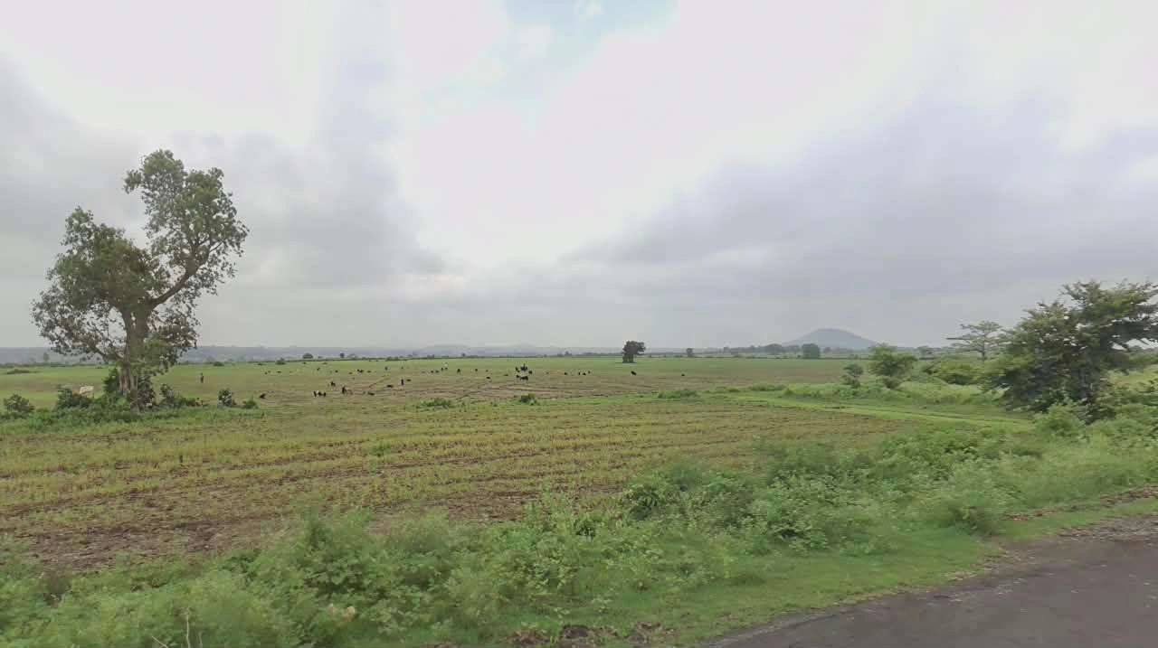 Sultanganj, Madhya Pradesh, India preview 3