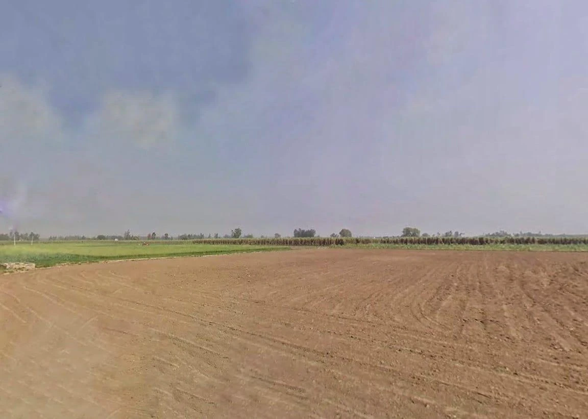 Mawana, Uttar Pradesh, India