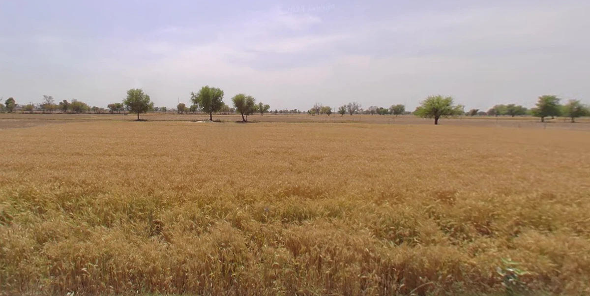 Shihori, Gujarat 385550, India