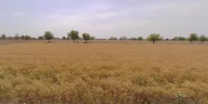 Shihori, Gujarat 385550, India preview 3