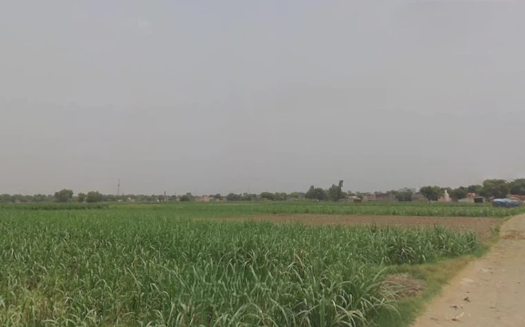 Peerbiyabani, Uttar Pradesh 203205, India