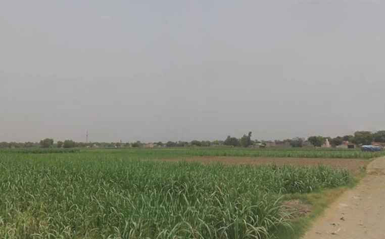 Peerbiyabani, Uttar Pradesh 203205, India