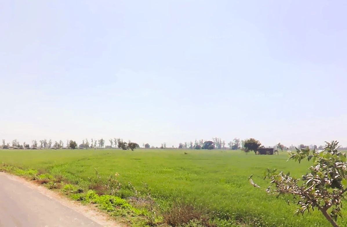 Khubru, Haryana 131101, India