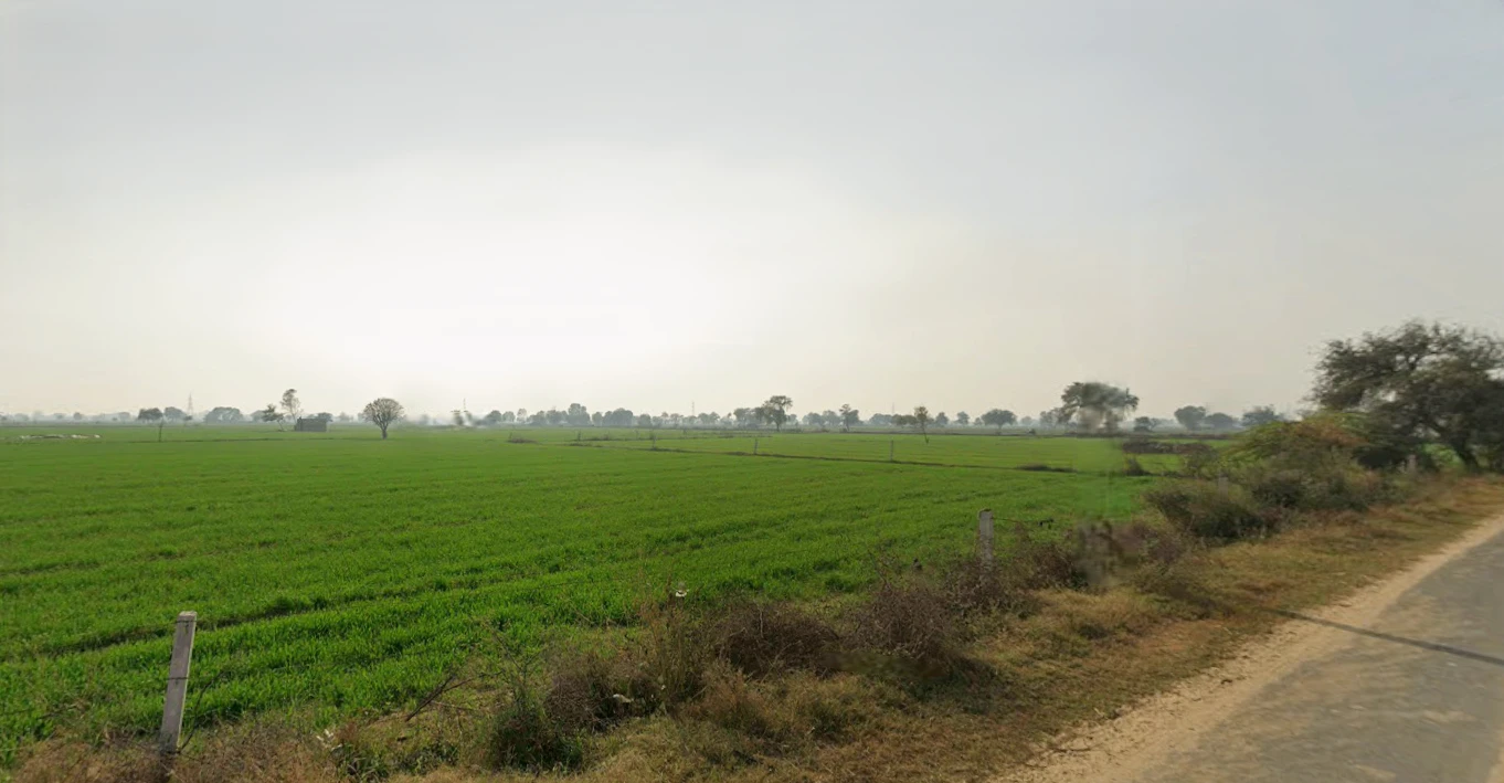 Daya, Haryana 125005, India