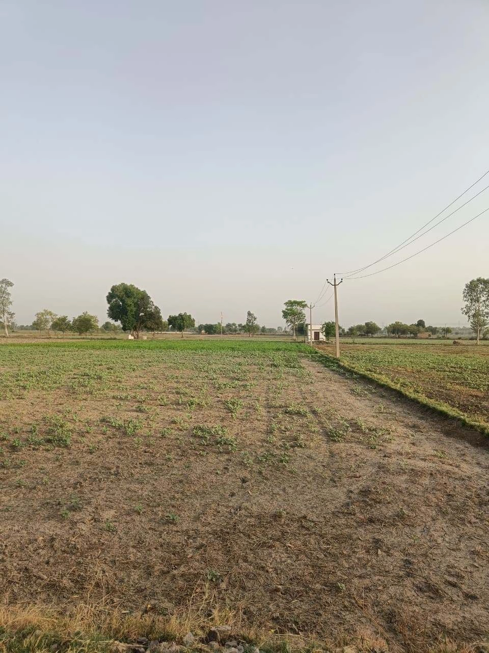 Tentigaon, Uttar Pradesh, India preview 3