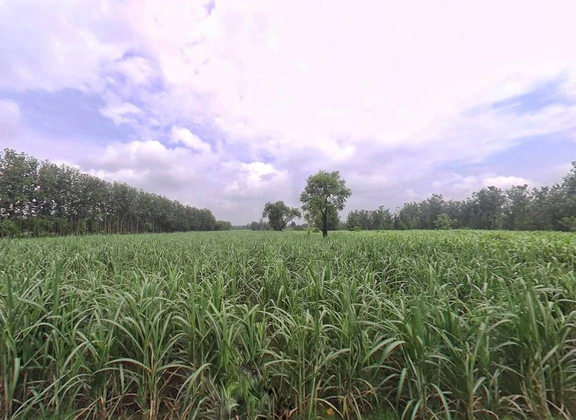 XMJ4+FR Gagalhedi Aht., Uttar Pradesh, India