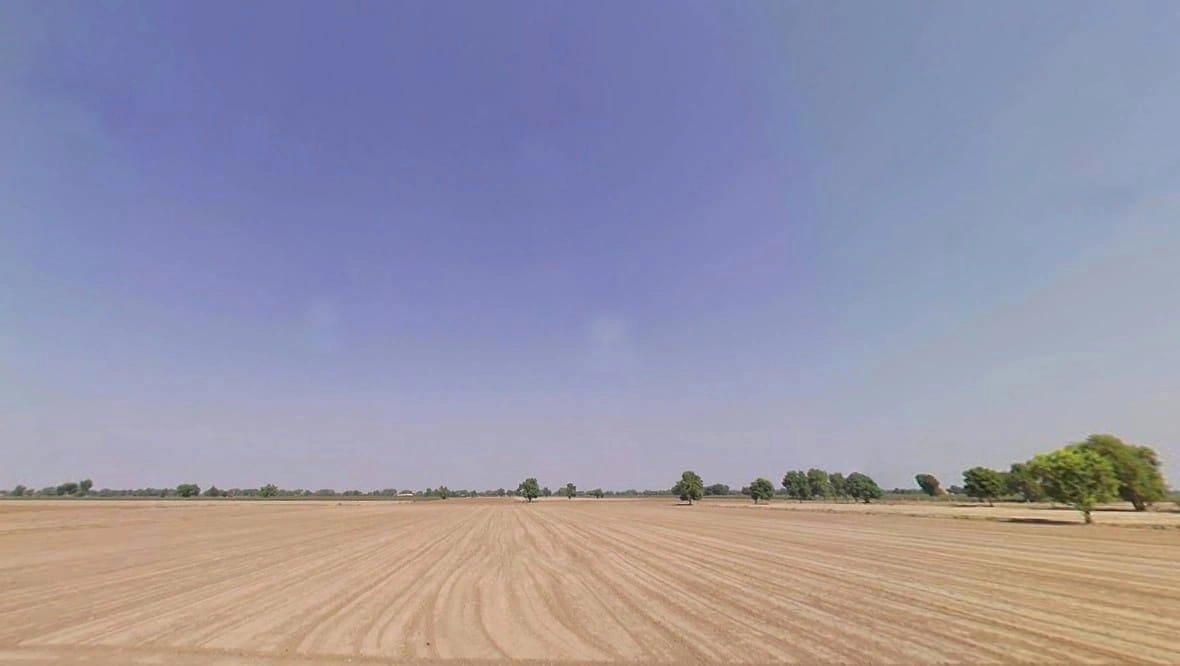 Sardarpura Jeevan, Rajasthan 335037, India