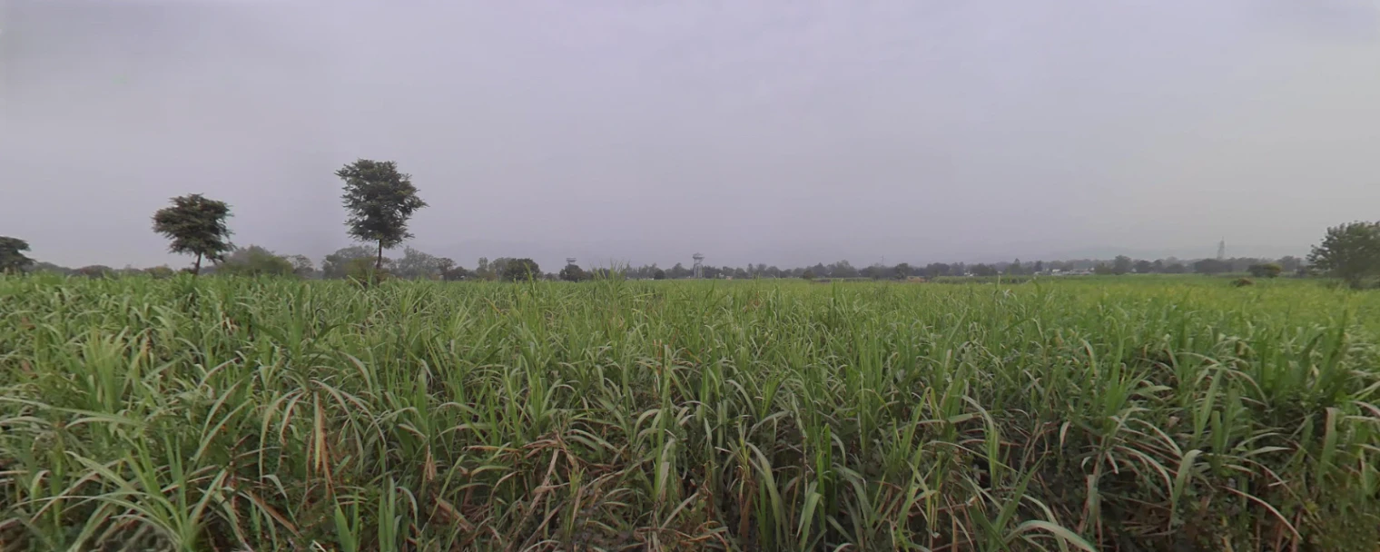 Vikasnagar, Uttarakhand, India