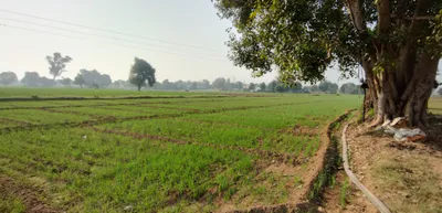 Mallian, Punjab, India preview 2