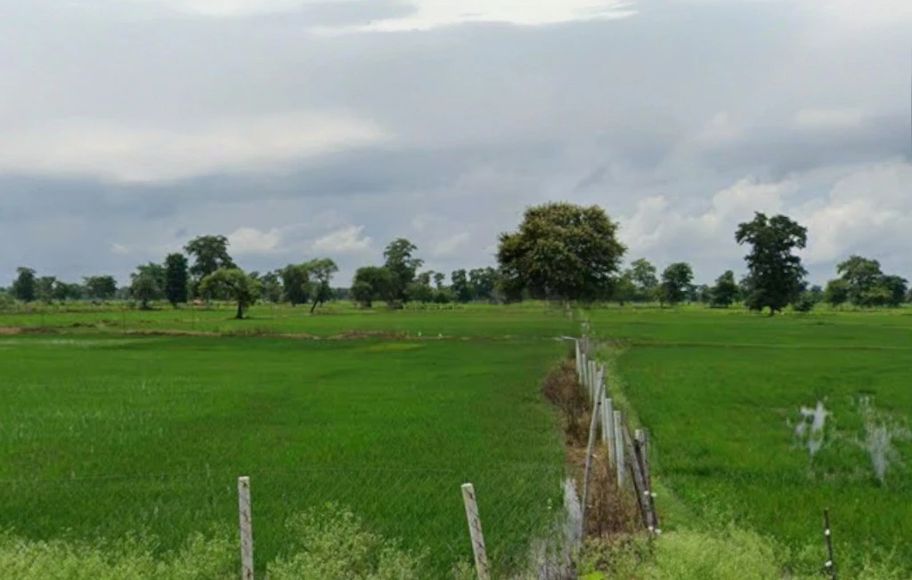 Patewa, Chhattisgarh 493551, India