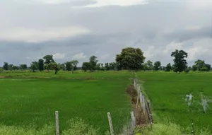 Patewa, Chhattisgarh 493551, India preview 3