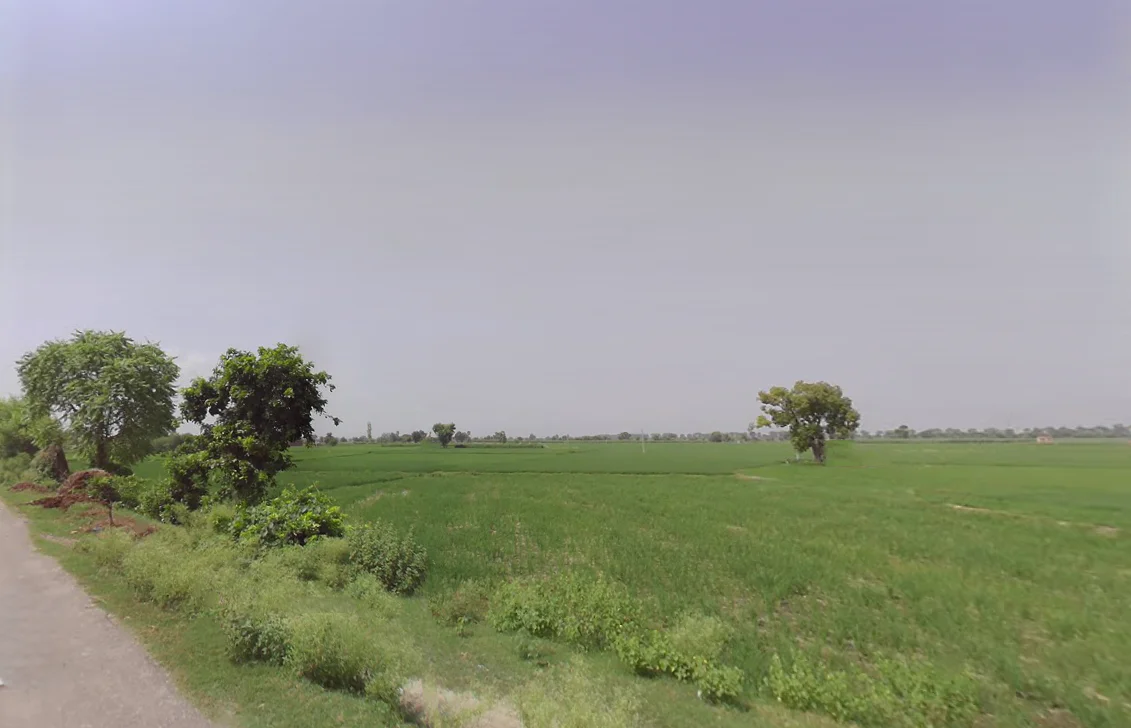 Rakshera, Haryana 132115, India preview 3