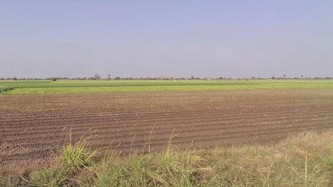 Sankheda, Madhya Pradesh 461111, India