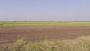 Sankheda, Madhya Pradesh 461111, India preview 2