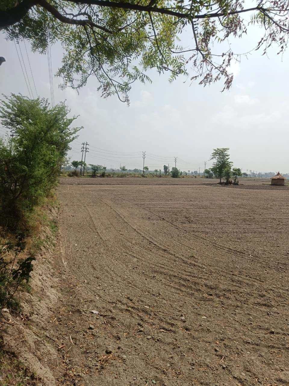 Aou, Rajasthan, India