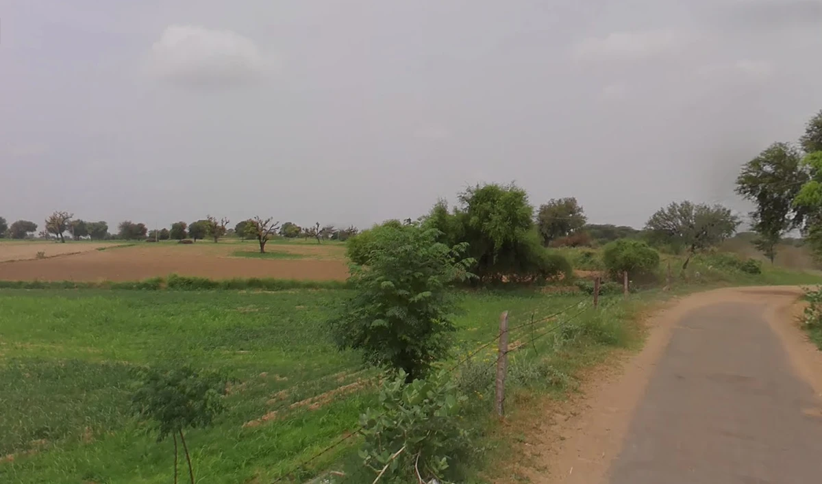Charkhi Dadri, Haryana 127306, India