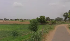 Charkhi Dadri, Haryana 127306, India preview 2