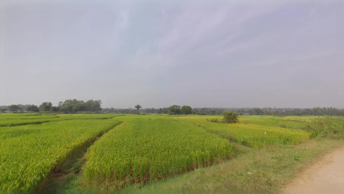 QF72+7F5, Asanpani, West Bengal 723129, India