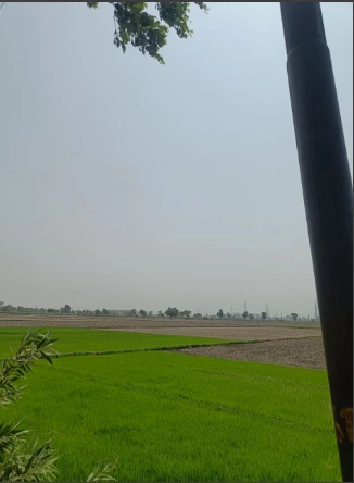 P7CG+C8Q, Hasanpur, Uttar Pradesh 244241, India
