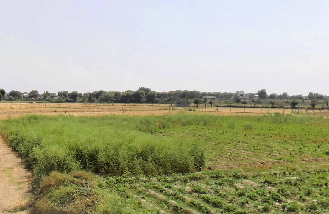 Kabulpur Patti Parwarish, Haryana 121101, India