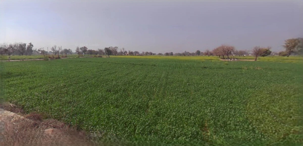 Ratlam, Madhya Pradesh 457001, India