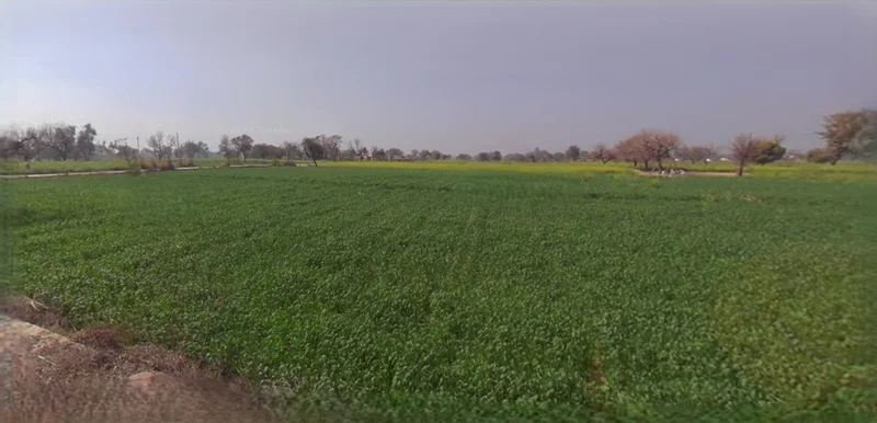 Ratlam, Madhya Pradesh 457001, India preview 2