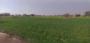 Ratlam, Madhya Pradesh 457001, India preview 2