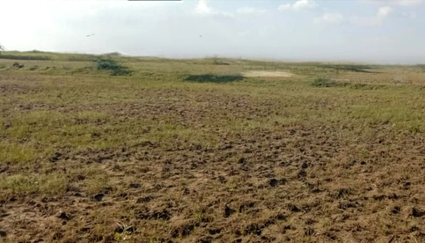 Chandan, Chhattisgarh 491335, India