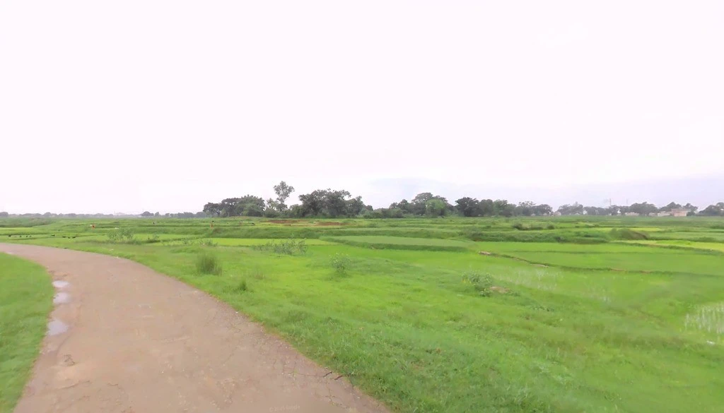 Samari, Chhattisgarh 497224, India