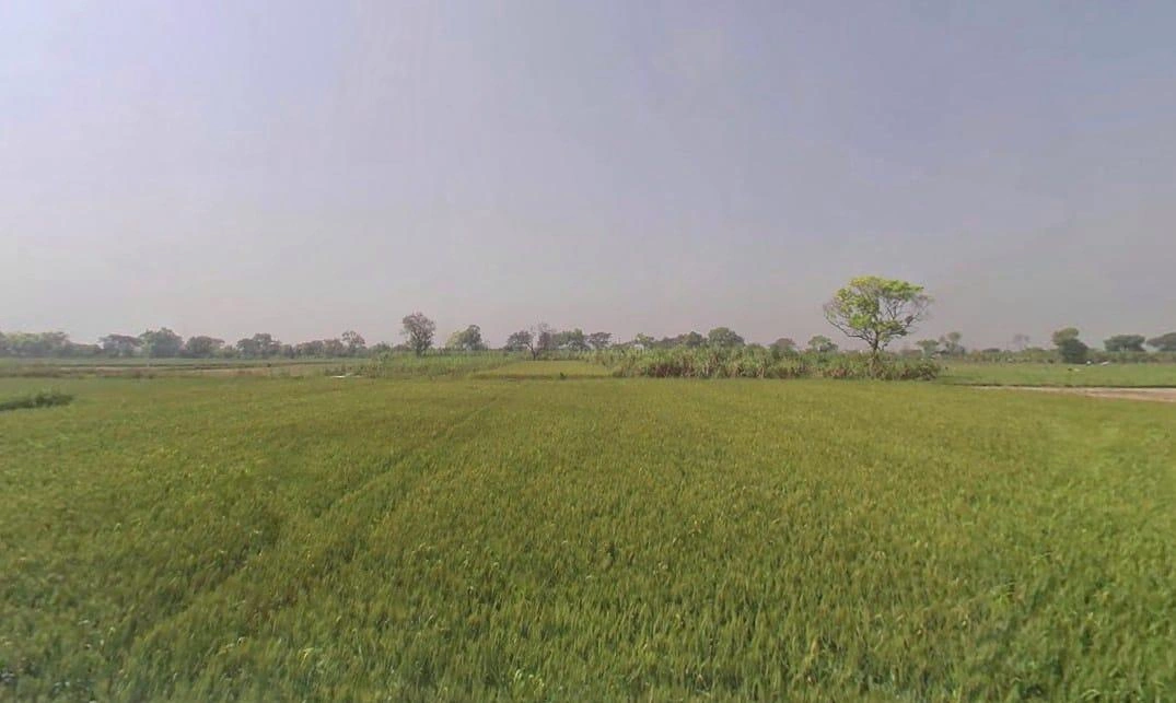 Painga, Uttar Pradesh 201204, India