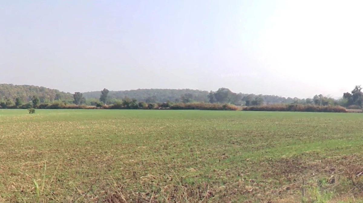 Delawadi, Madhya Pradesh, India