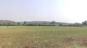 Delawadi, Madhya Pradesh, India preview 3