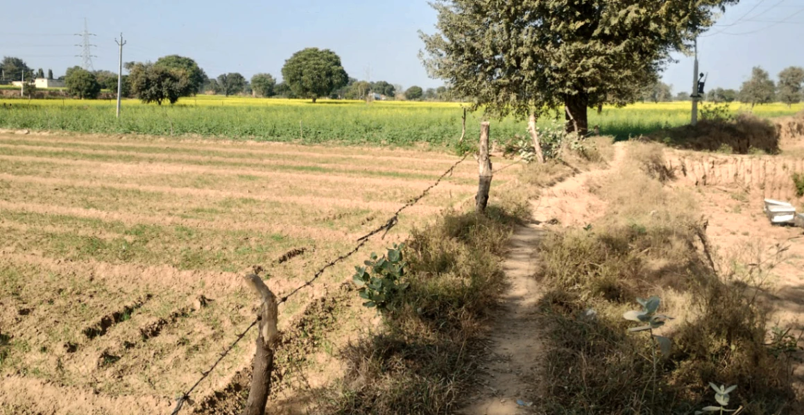 Nurpur Bedi, Punjab 140117, India