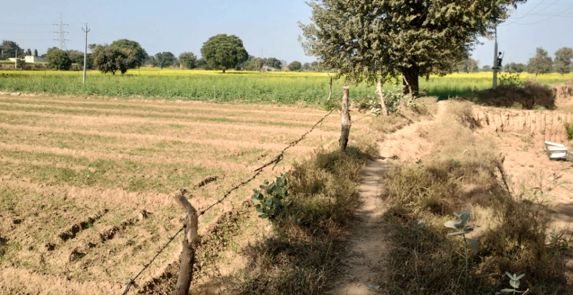 Nurpur Bedi, Punjab 140117, India