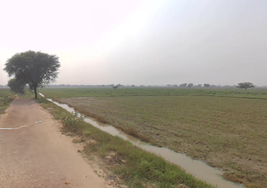 Jartauli, Uttar Pradesh 202137, India