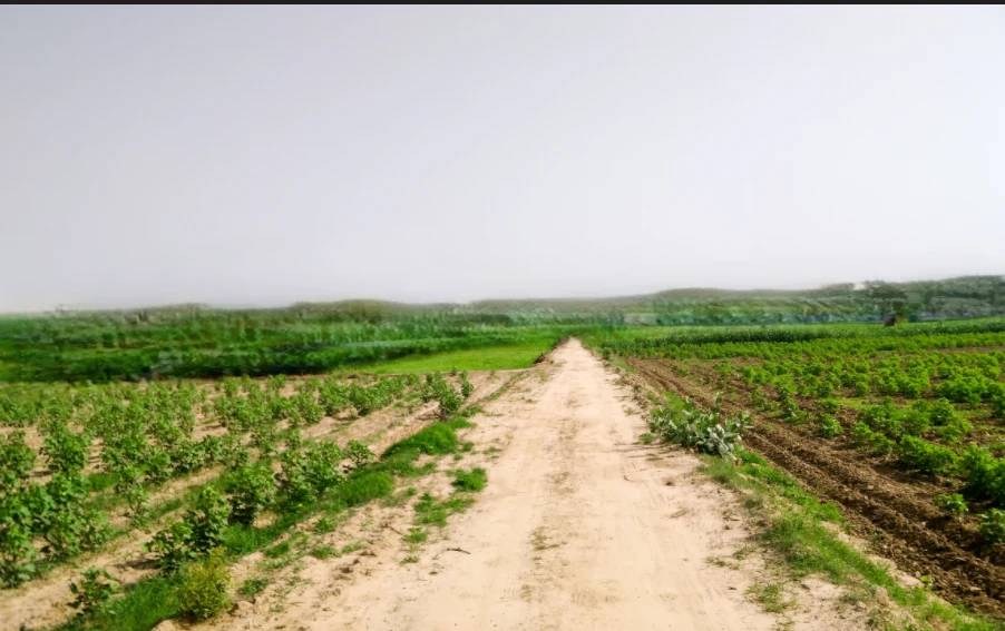 Rojadi Rd, Hatod, Madhya Pradesh 453111, India