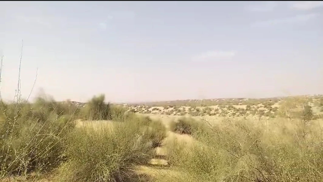 GJX8+RMP, Shekhon Ka Tala, Rajasthan 345028, India