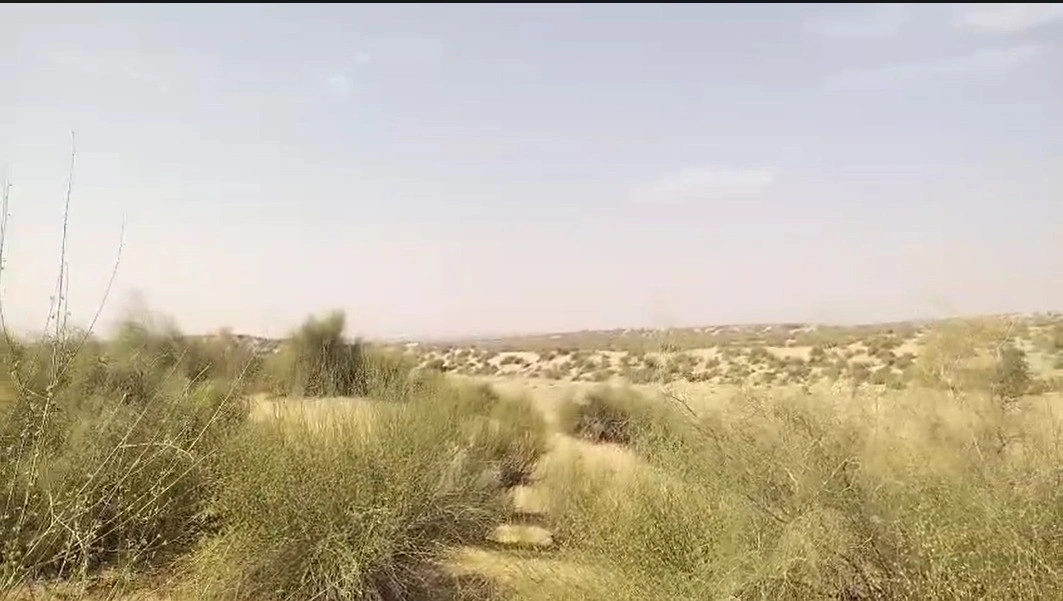 GJX8+RMP, Shekhon Ka Tala, Rajasthan 345028, India